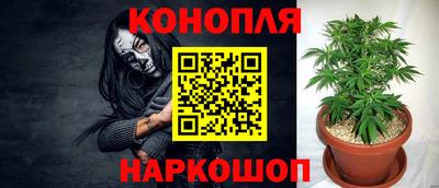 винт Донецк